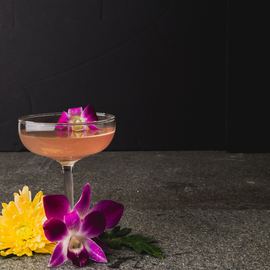 Lily banse 608815 unsplash